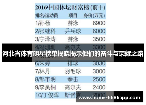 河北省体育明星榜单揭晓揭示他们的奋斗与荣耀之路